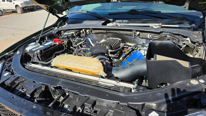 2016 Ford F-150 PLATINUM RAPTOR12