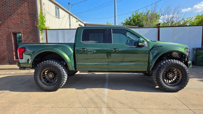 2016 Ford F-150 PLATINUM RAPTOR4