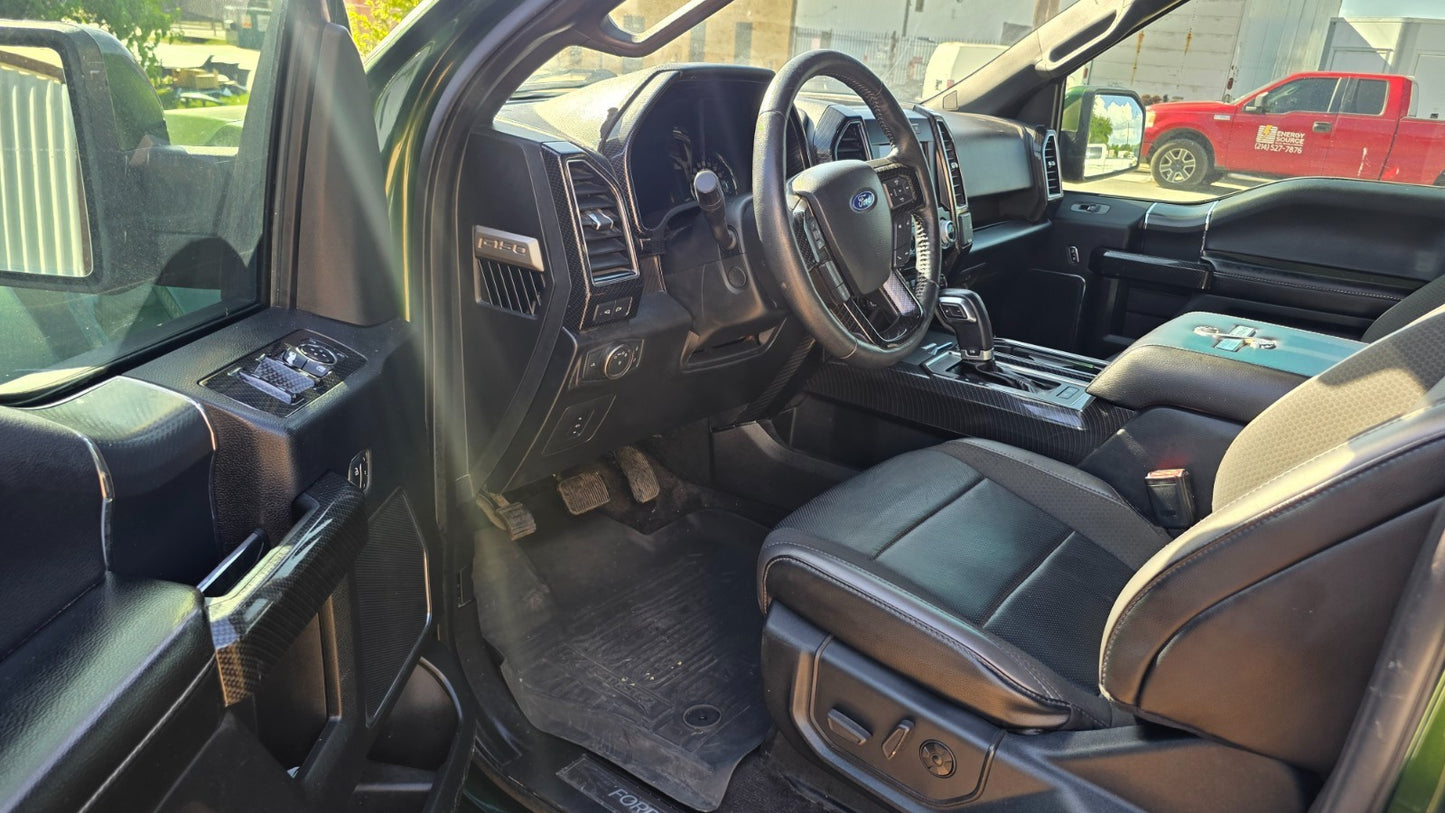 2016 Ford F-150 PLATINUM RAPTOR18